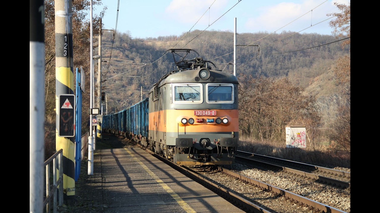 VLAKY     MALÉ ŽERNOSEKY V MLZE I SLUNCI.