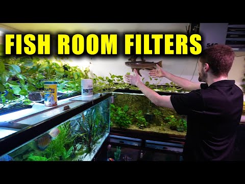 How to filter