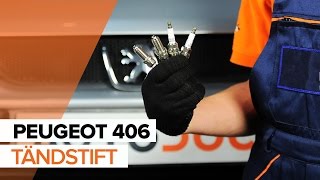 Underhåll Peugeot 406 Coupe 2004 - videoinstruktioner