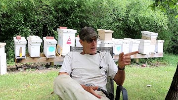 How to Get Your Bees to Draw Comb