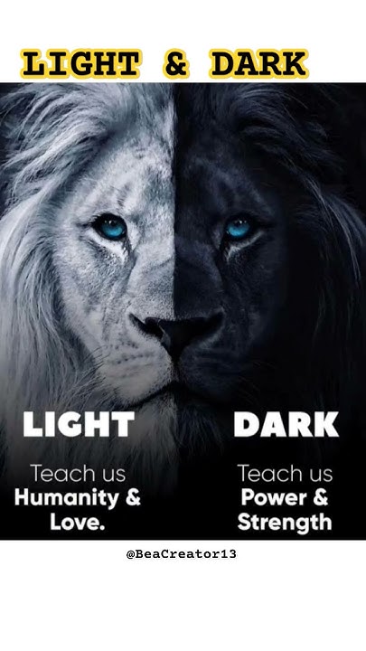 difference-between-light-dark-beacreator13-shorts-viral-light-dark