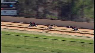 HVL FRI 24 AUG 18 R11