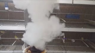 سبب هذا الدخان الكثيف في غرفة طيور عماد العرفاوي ؟
