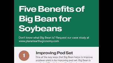 How to increase Soybean Yields with Big Beans?