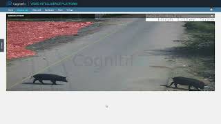 Garbage Detection