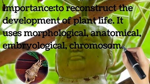 Introduction to plant systematics aims objectives and importance