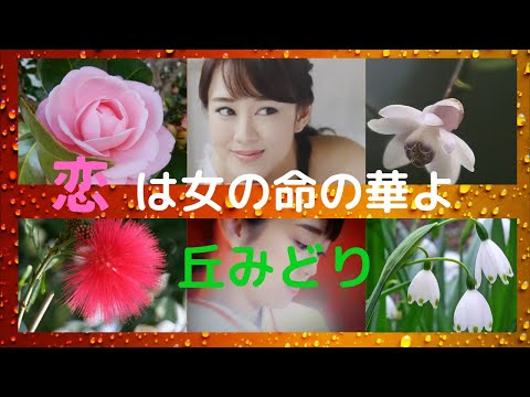 恋は女の命の華よ　丘みどり　5/15サムネイル画像変更