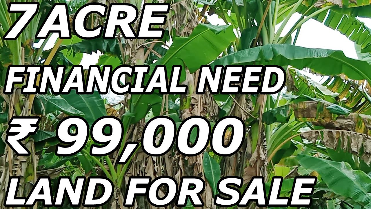 7 ACRE BANANA CULTIVATION LAND FOR SALE FARMER FINANCIAL NEED LAND