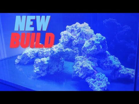 New build -