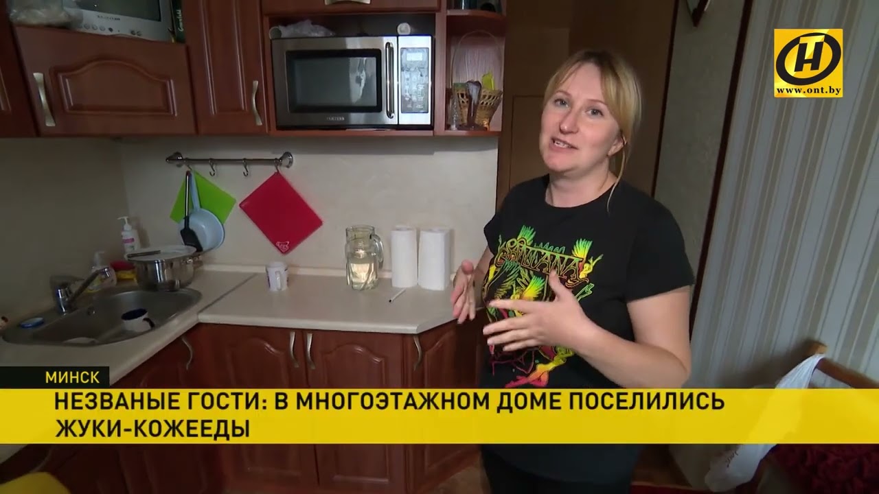 Жуки атаковали дом! Они друг друга едят и кусаются! Насекомые кожеед голуби ЖКХ улица Бакинская