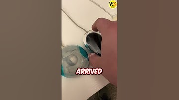 Apple’s Mouse Designs Through the Years! #shorts