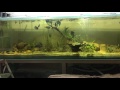 Our 3000l tank
