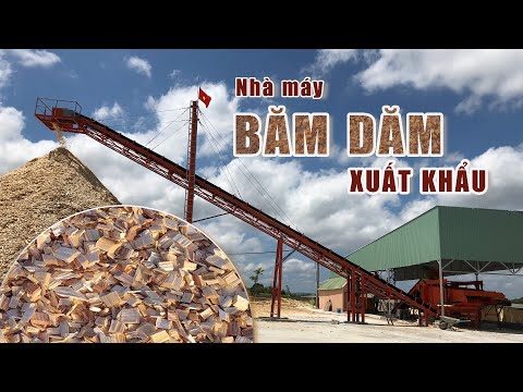 Video: Máy Cắt Dăm Gỗ Tự Làm (31 ảnh): Bản Vẽ Và Kích Thước Của Máy Băm Dăm Gỗ Tự Chế để Lấy Dăm Gỗ để Hun Khói. Làm Thế Nào để Làm Từ Cưa Vòng Và Các Vật Liệu Khác?