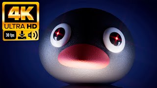 Noot Noot |  Penguin Meme Green Screen  - Footage 4K