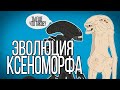 Эволюция Ксеноморфа/Чужих - (Анимация) - Русский Дубляж