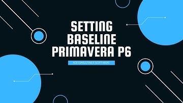 PRIMAVERA P6 MADE EASY! Setting Baseline in P6