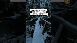 CRIATURAS ESTRANHAS REGRISTRADAS POR CAMERA NA FLORESTA#shorts #viral #curiosidades #floresta