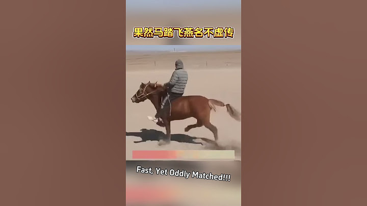 這是一匹跑得飛快，但順拐的馬，果然馬踏飛燕名不虛傳