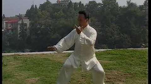 Чжан Чжицзюнь синьцзя Фильм 5 (Actual Combat Method)