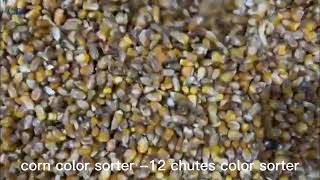 12 chutes color sorter machine,corn color sorter