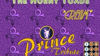 The Horny Toads: &quot;Cream&quot; Prince Tribute The new Way Bar 7.30.16