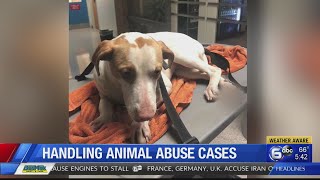 Ask Isaacs: Handling animal abuse cases Profile