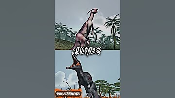 👑 🔥 DBWC S1 VS DBWC S2 🪄 🥶 #edits #pong1977edits #s1vs2