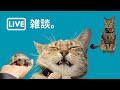 【飲酒配信】いよいよ本番が近付いてきましたね