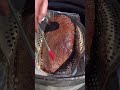Hot and fast BBQ smoked brisket on a drum smoker for competition barbeque #BBQ #Food #Brisket ￼