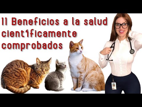 Video: Beneficios Para La Salud De Vivir Con Un Gato »Wiki Ùtil Veterinario Diario