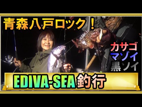 根魚狩人 71BXau39DEL._AC_UL210_SR210,