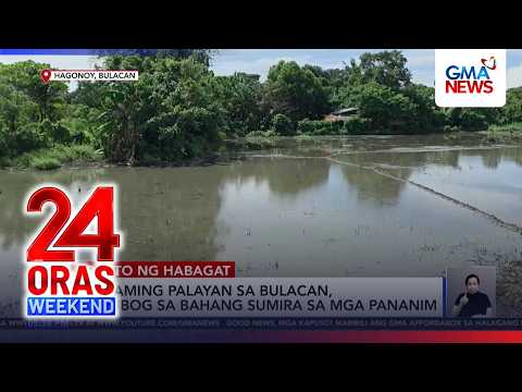 As rising floods destroy rice fields, Bulacan farmers sow resentment | 24 Oras Weekend
