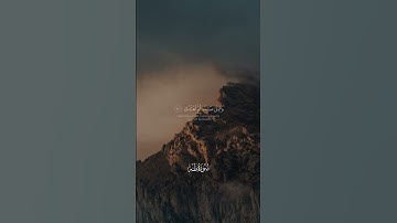 عمر بن ضياء الدين - سورة طه | واني لغفار لمن تاب وءامن وعمل صالحا #قران #تلاوة_خاشعة #راحة_نفسية