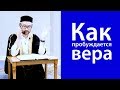 Как пробуждается вера