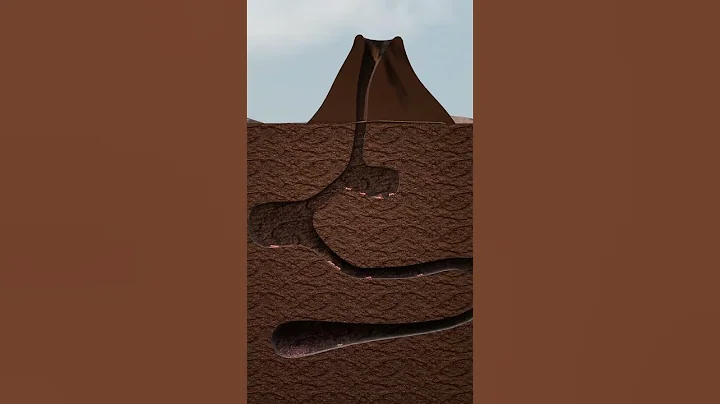 The Dark Secret of Ant Colonies thumbnail