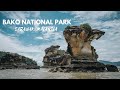 MY WILDEST BORNEO ADVENTURE | Bako National Park, Kuching