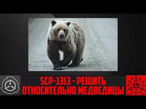 SCP-1313 - Решить относительно медведицы (СТАРАЯ ОЗВУЧКА) - YouTube.