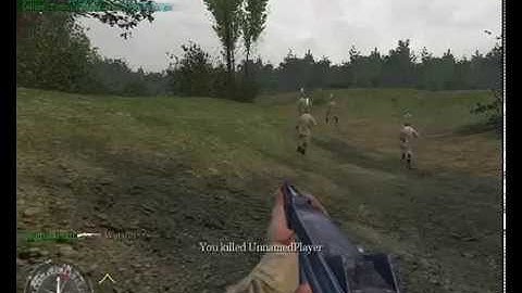 Cod uo Team Crazy And Friends 2