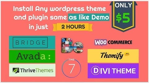 I Will Install Wordpress Theme And Plugin Like Demo In 2hours