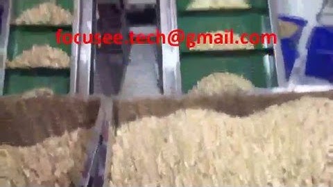 Vietnam Cashew color sorter video/cashew color separator/color sortex
