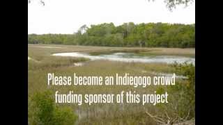 GreenHaven Project Indiegogo campaign
