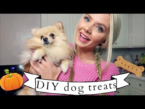 cooking-with-my-pomeranian!-dog-treats-for-fall/halloween!!-using-kitchen-mama