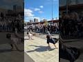 FLY ROUTINE ROUND ⚡️ BREAKING ⚔️ THE TWINS CREW #bboy #breakdance #dance #breaking