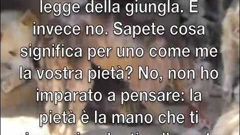 Le parole di chi non può gridare.mp4