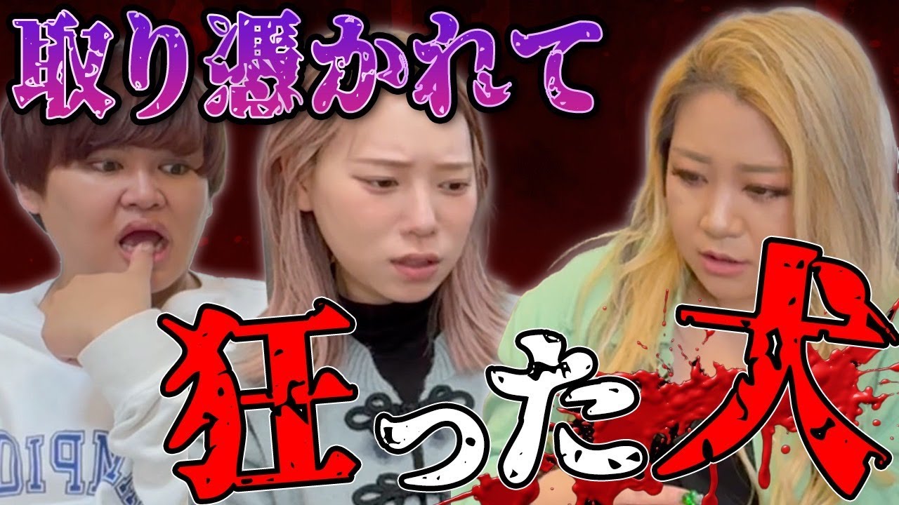 【心霊】タナカガさんのペットが狂ったように暴れ回る、、、霊視の結果はなんと、、、【ギャル霊媒師】