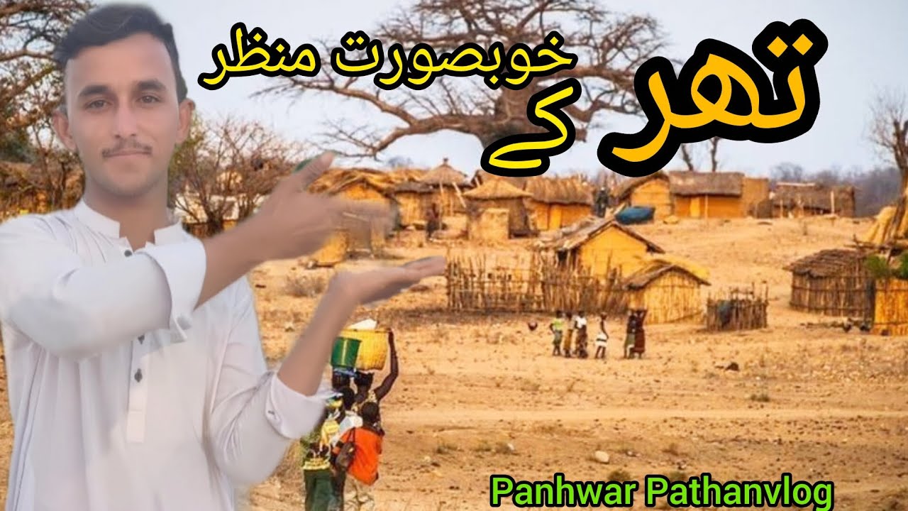 تھر کے خوبصورت منظر 