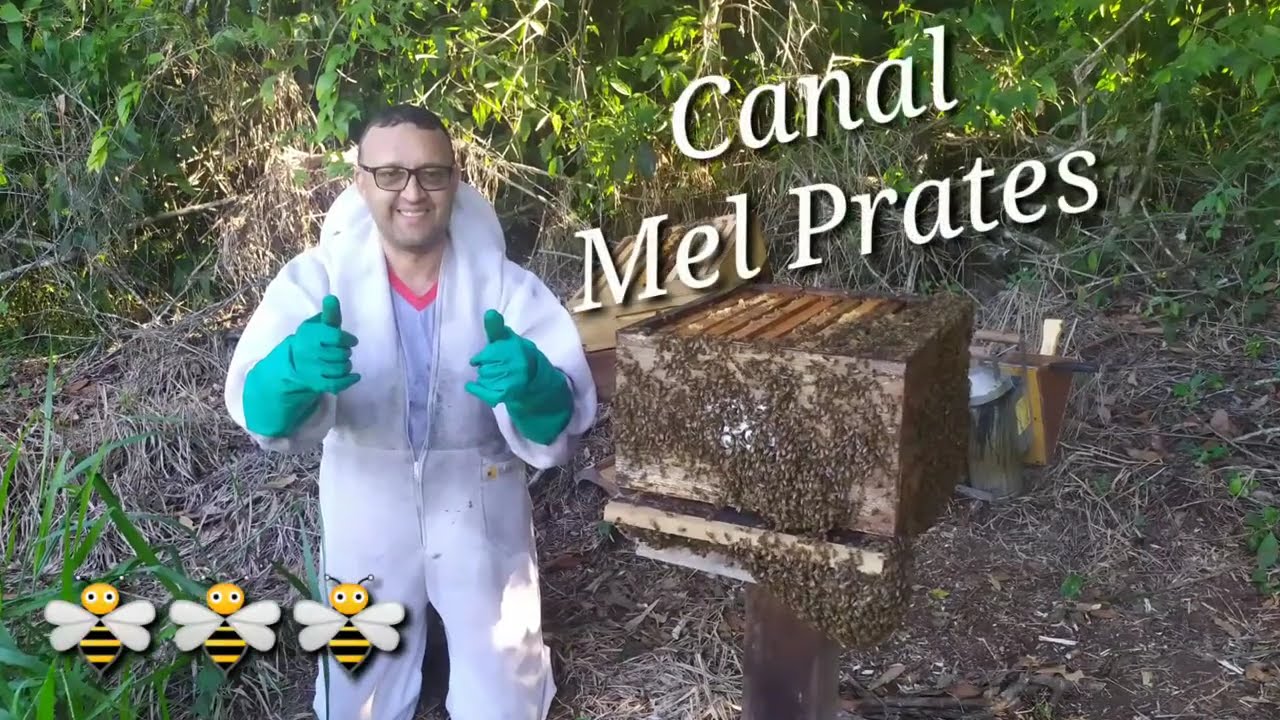 construção da casa de extração de mel,🍯,# 2.