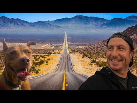 لقد قطعت مسافة 4500 ميل دون أي خطط فقط لأعيد صديقي المفضل إلى المنزل يستحق كل هذا العناء م