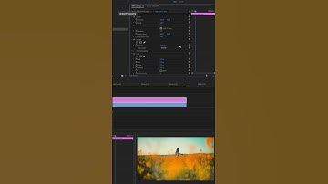Create cinemascope in premiere pro | #Shorts #premierepro #premiereproshorts