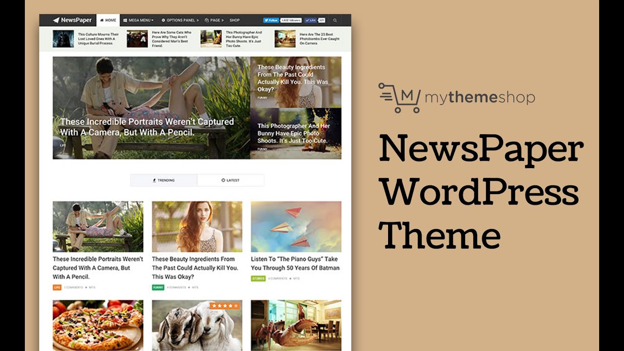 NewsPaper WordPress Theme by MyThemeShop